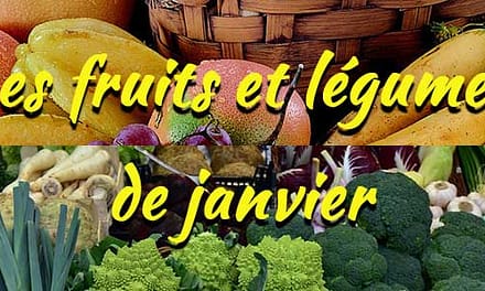 Les fruits et légumes de saison : Janvier