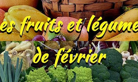 Les fruits et légumes de saison : Février