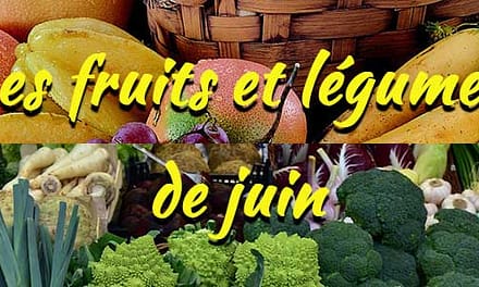Les fruits et légumes de saison : Juin