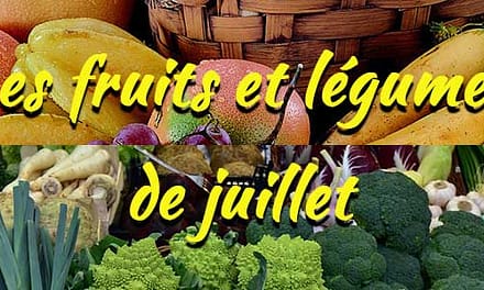 Les fruits et légumes de saison : Juillet