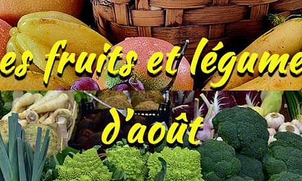 Les fruits et légumes de saison : Août