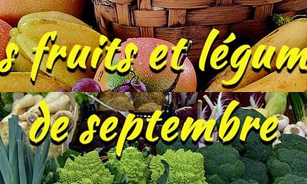 Les fruits et légumes de saison : Septembre