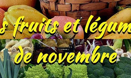 Les fruits et légumes de saison : Novembre