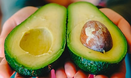 10 bienfaits de l&rsquo;avocat sur la santé