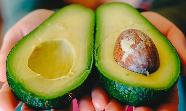 10 bienfaits de l&rsquo;avocat sur la santé